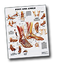 Professional Medical Spanish course using professionally developed materials